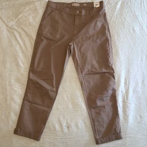 NWT Lucky Brand The Cargo Taupe/Pink Pants